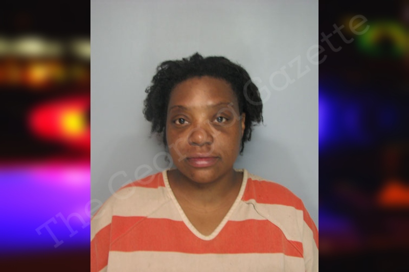 Ashley Thurmond Hall County