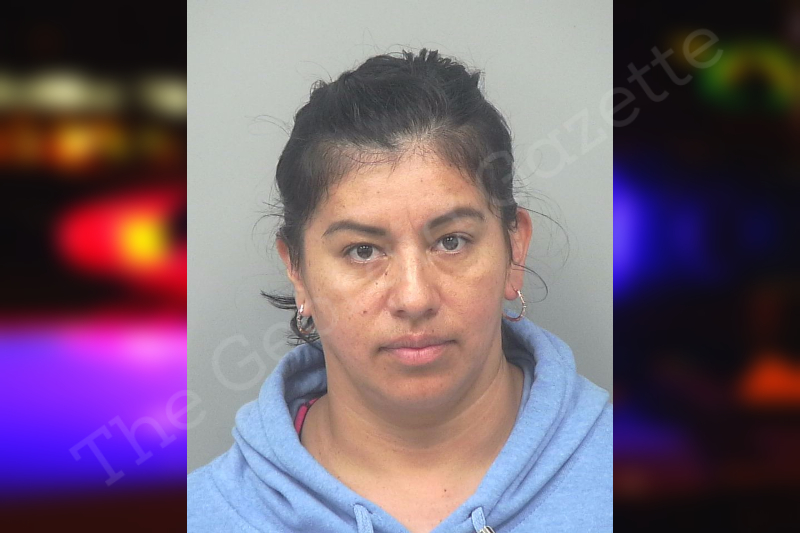 Nidia Guzman-Tellez | Gwinnett County