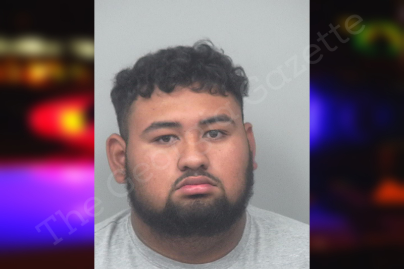 1000 VICTOR IBARRA PROFILES visual data 7