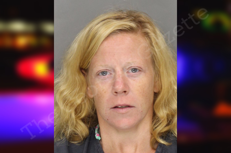 Christina Waters Cobb County