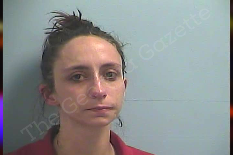 Camilla Anderson Dawson County Jail Bookings