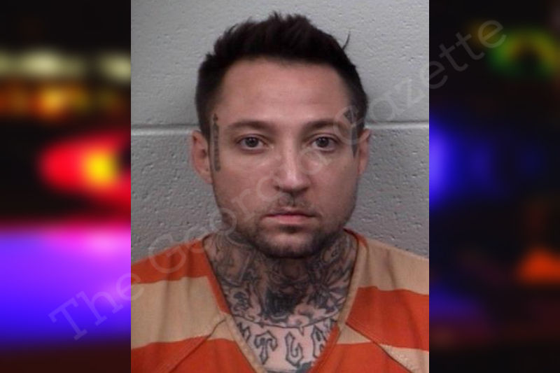 Bryan Ayers Paulding County