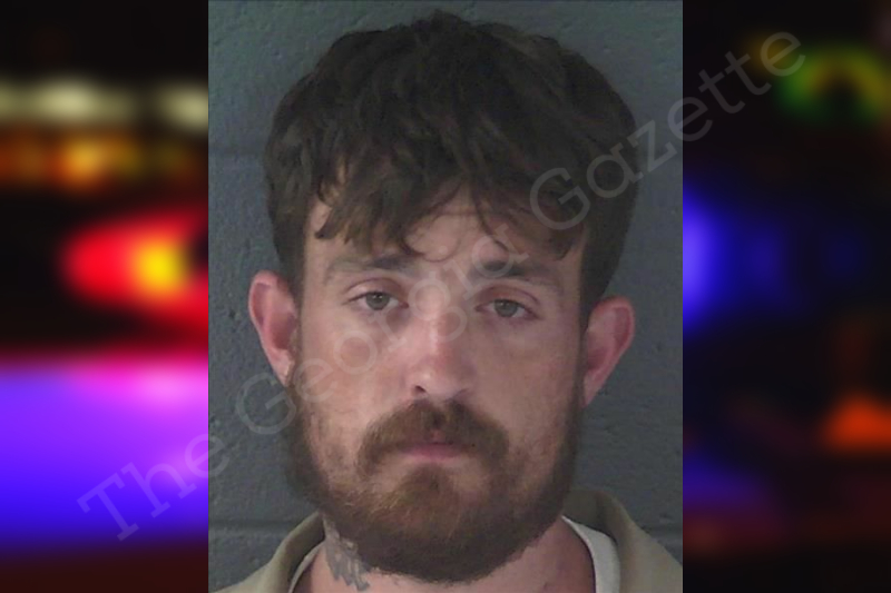 Hollis Newton County