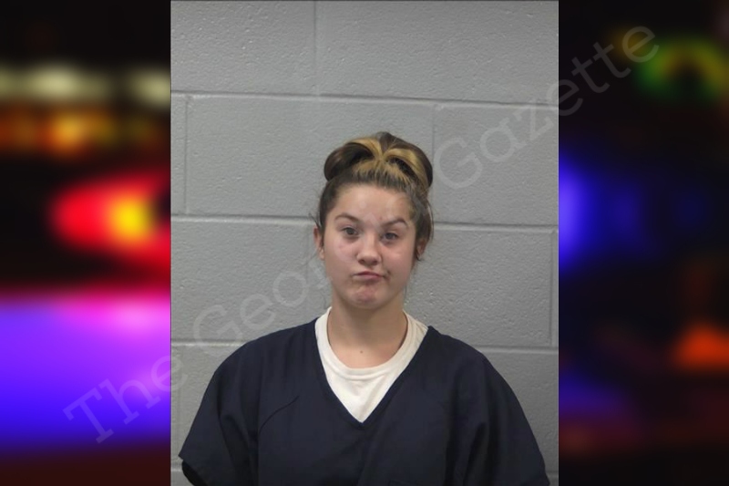 Haley Martin Gilmer County