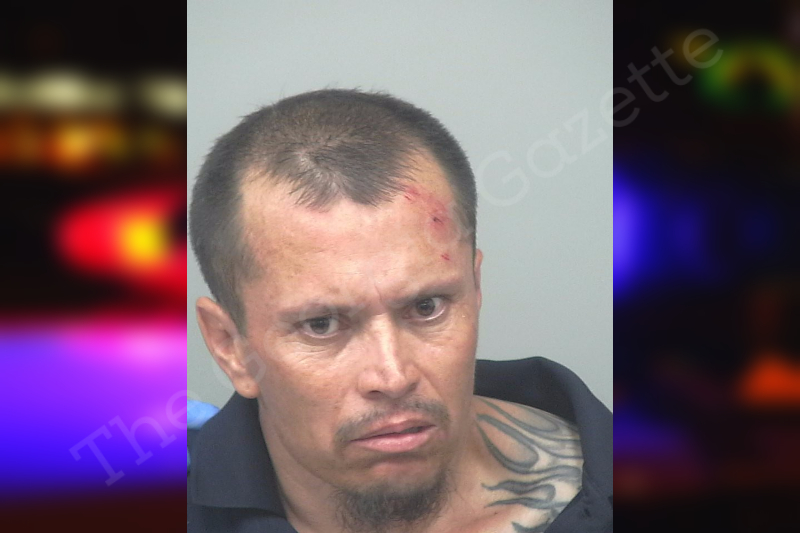Abel Muro Romo — Gwinnett County
