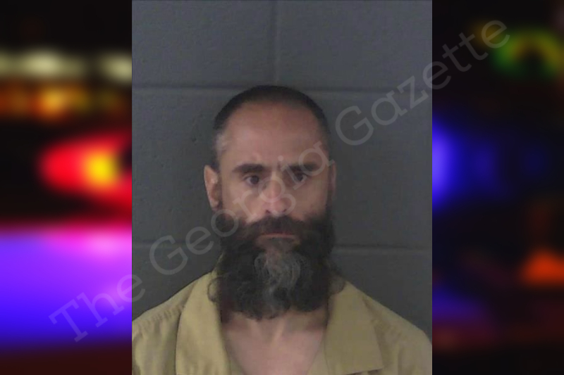 Michael Palmer Newton County