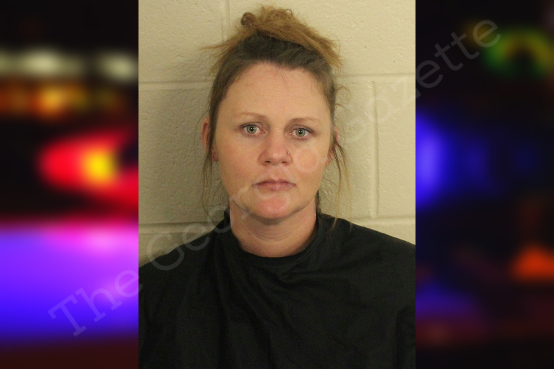 Jennifer Cobb Floyd County Jail Bookings