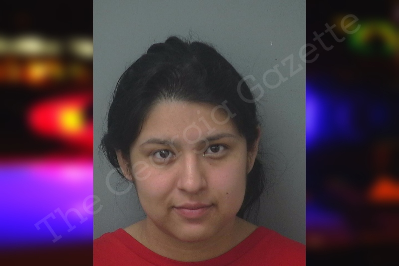 Araceli Mendoza | Gwinnett County