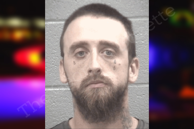 Ryan Mckinney Columbia County Jail Bookings