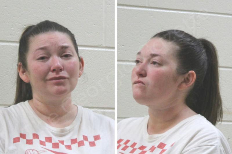 Ashley Price Houston County