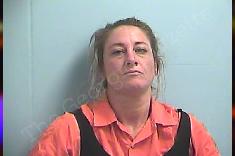 Amanda Boyle | Dawson County Jail Bookings