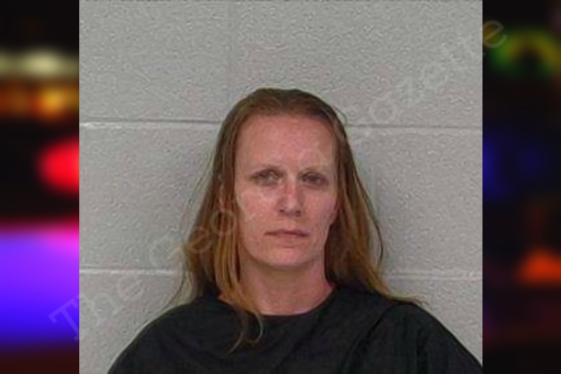 Amanda Collins | Carroll County