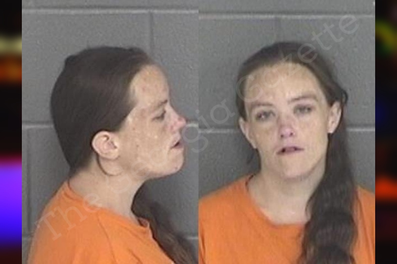 Ashley Callahan — Barrow County Jail Bookings
