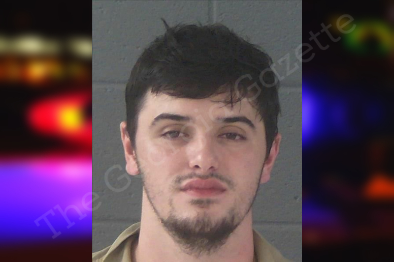 Austin Evans Newton County Jail Bookings