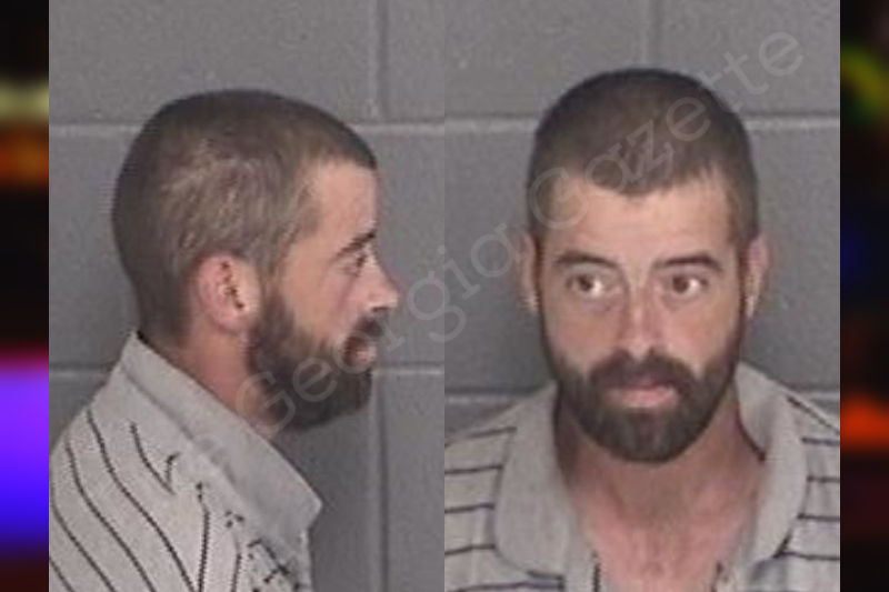 Tracy Waldron Barrow County