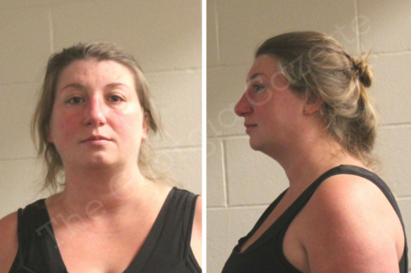 Brandy Cook Houston County