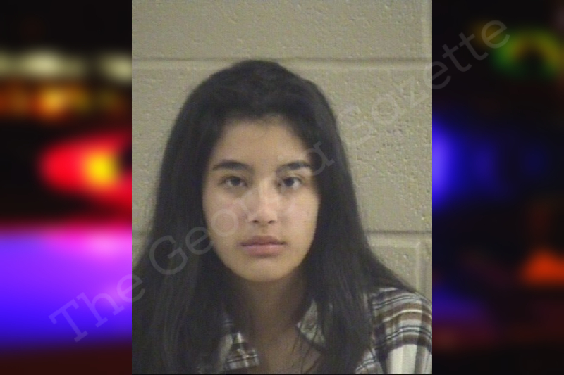 Giselle Ortega Whitfield County
