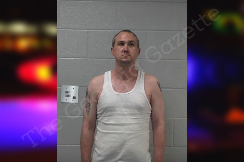 Shawn Knight Gilmer County