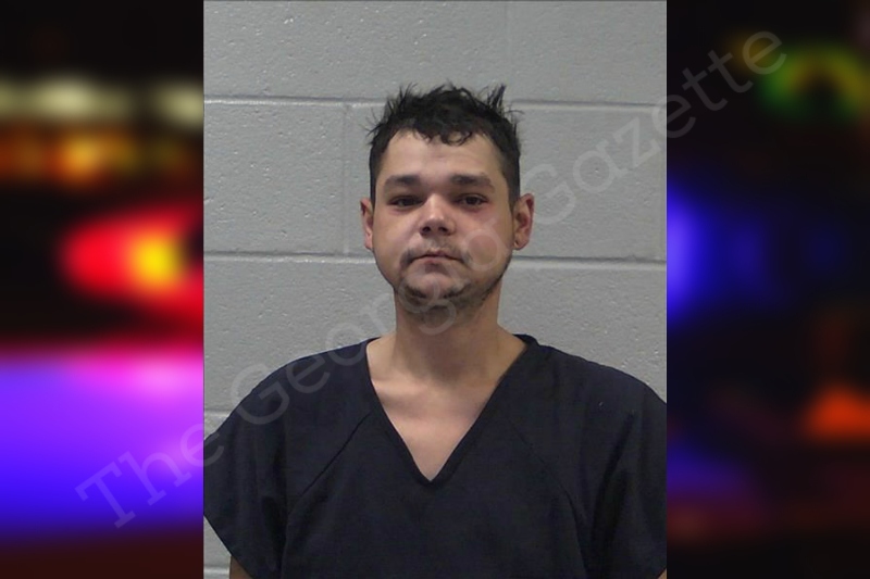 David Weaver Gilmer County