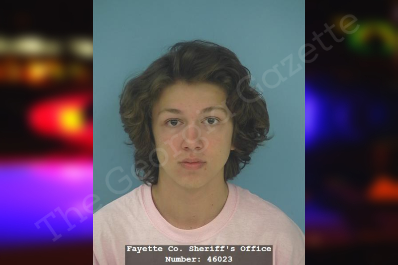 Joshua Wilson Fayette County Jail Bookings