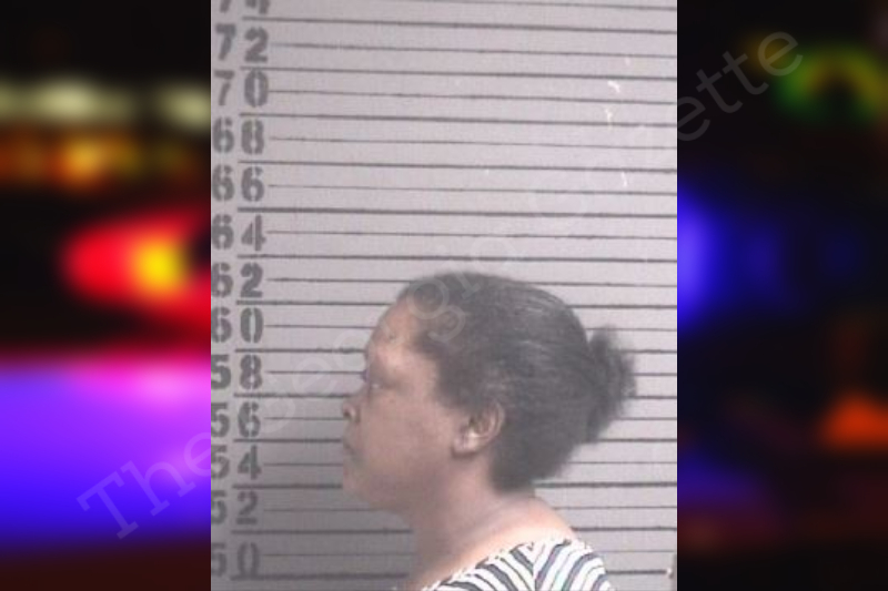 Terri Bryant Dougherty County