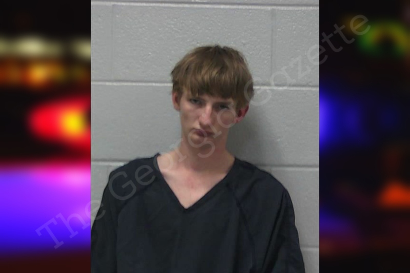 Donald Mcdaniel Gilmer County