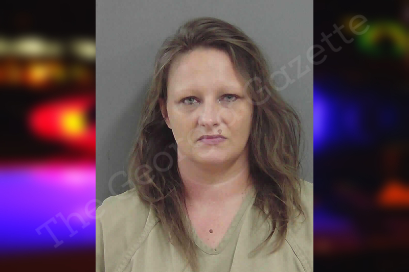 Brittany Morrison Gordon County