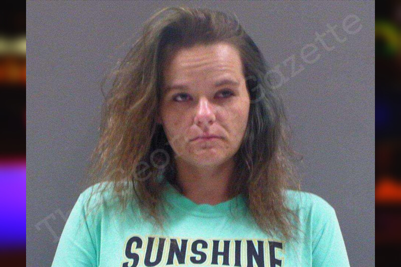 Michelle Nicholson — Rabun County Jail Bookings