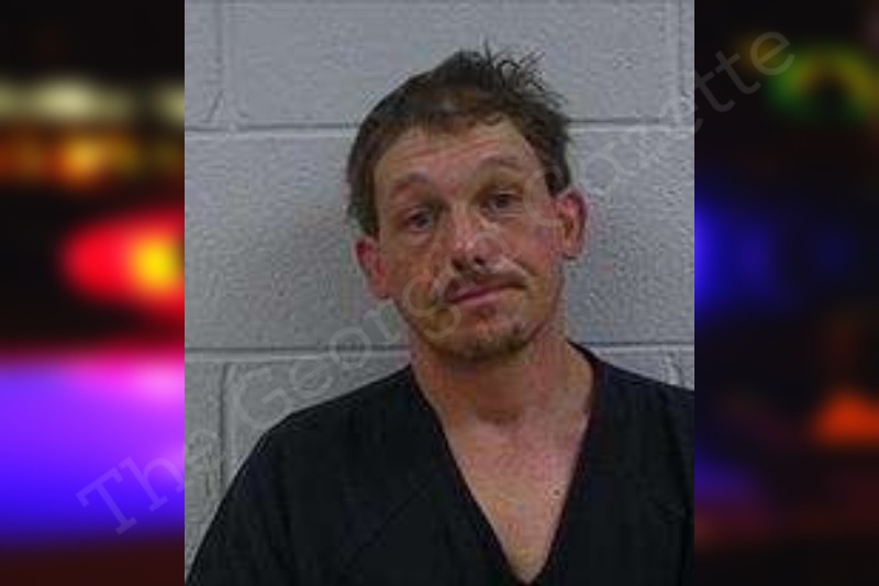 David Wilson Polk County