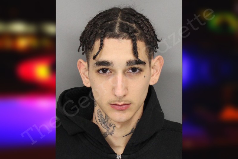 Sebastian Caruso Cobb County Jail Bookings