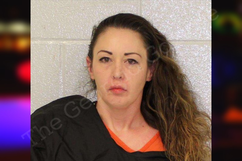 Merianna Daniel | Carroll County Jail Bookings