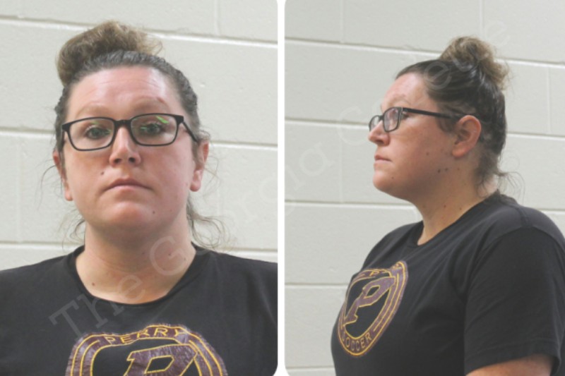 Lauren Townsend — Houston County Jail Bookings