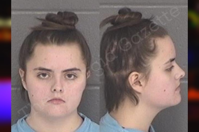 Chloe Morris | Barrow County Jail Bookings