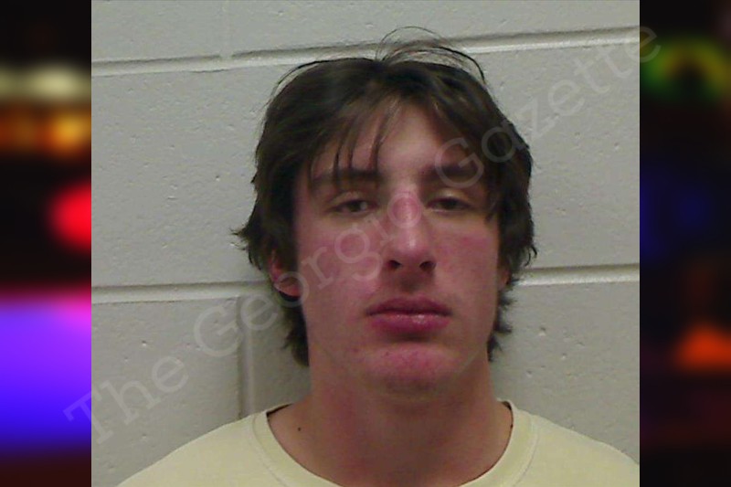 Brian Pickering Bulloch County