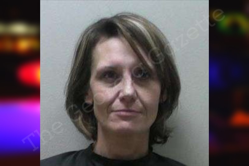 Shannon Lewis Habersham County Jail Bookings