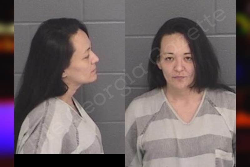 Brandy Nguyen Barrow County Jail Bookings