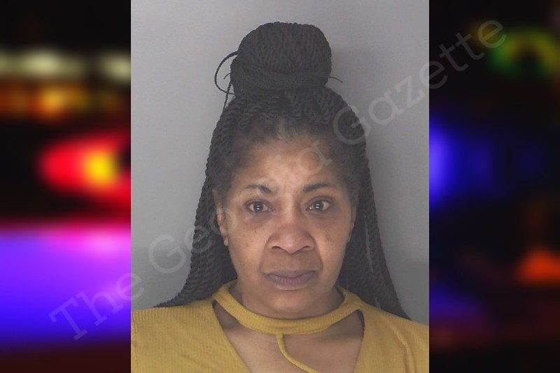 Tracy Brooks Douglas County Jail Bookings