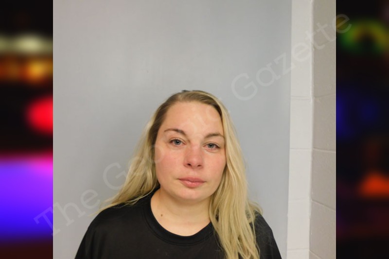 Brandy Mitchell Hall County Jail Bookings