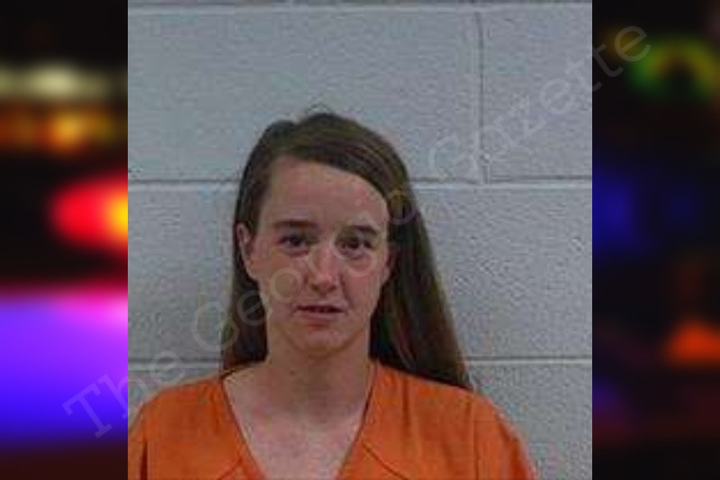 Jamie Radar Polk County Jail Bookings