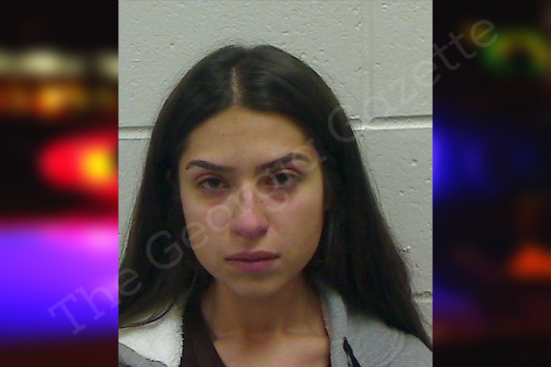 Lesley Camacho Bulloch County Jail Bookings