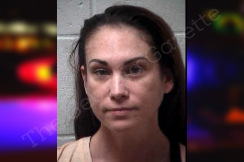 Heather Dale Henry County Jail Bookings