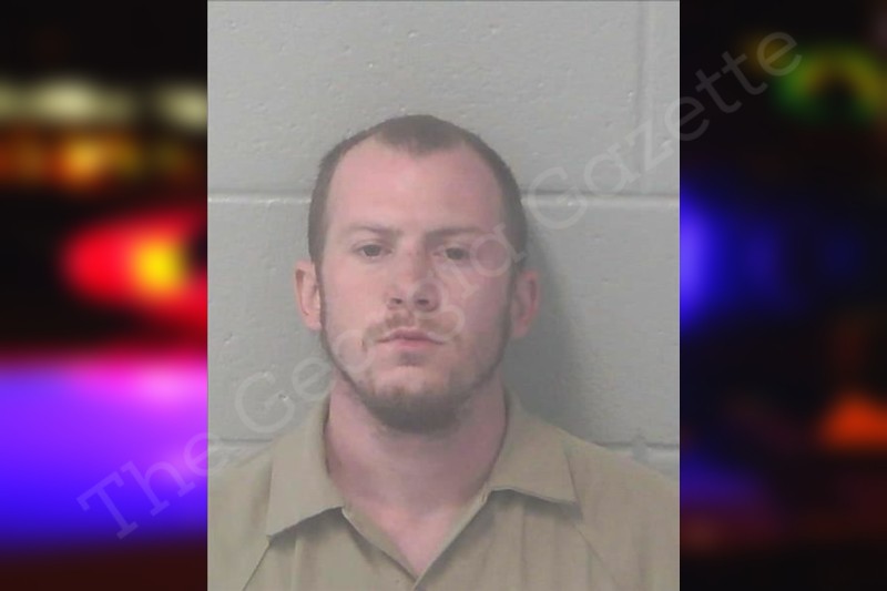 Brandon Danes | Newton County Jail Bookings