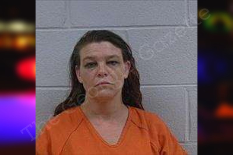 Tiffany Greer | Polk County Jail Bookings