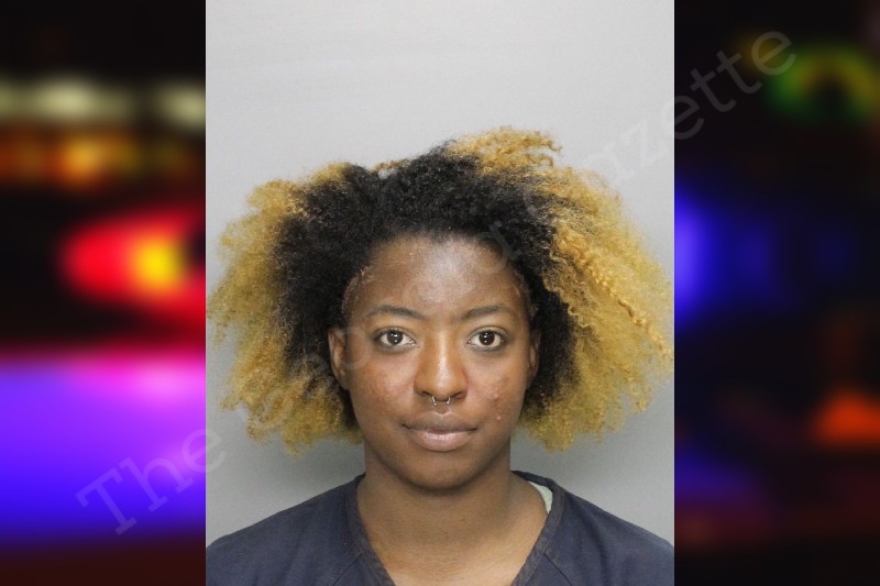 Laiyla Gabriel — Cobb County Jail Bookings