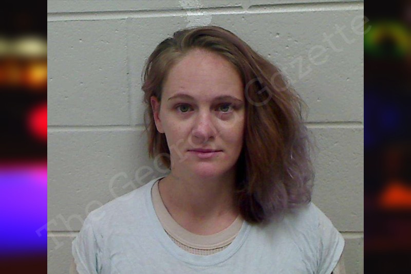 Cynthia Vincent Bulloch County Jail Bookings