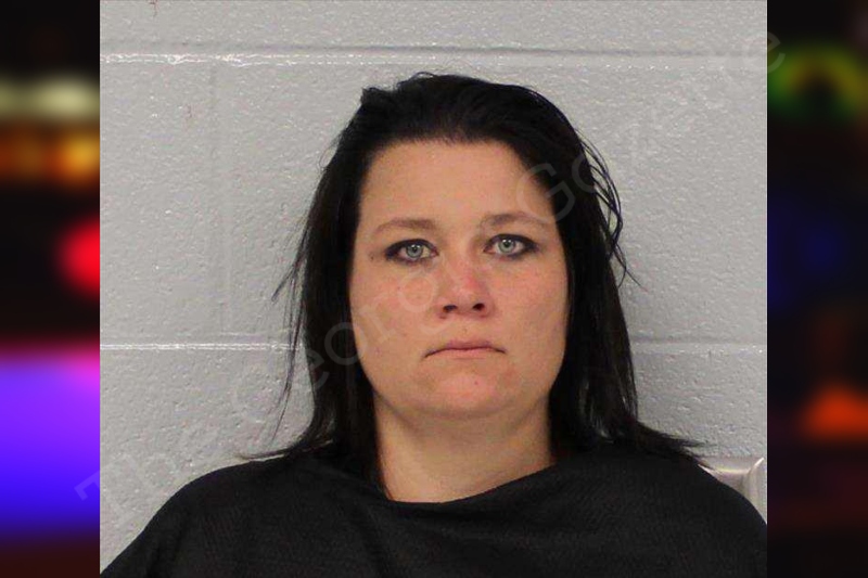 Nicole Cislak | Carroll County Jail Bookings