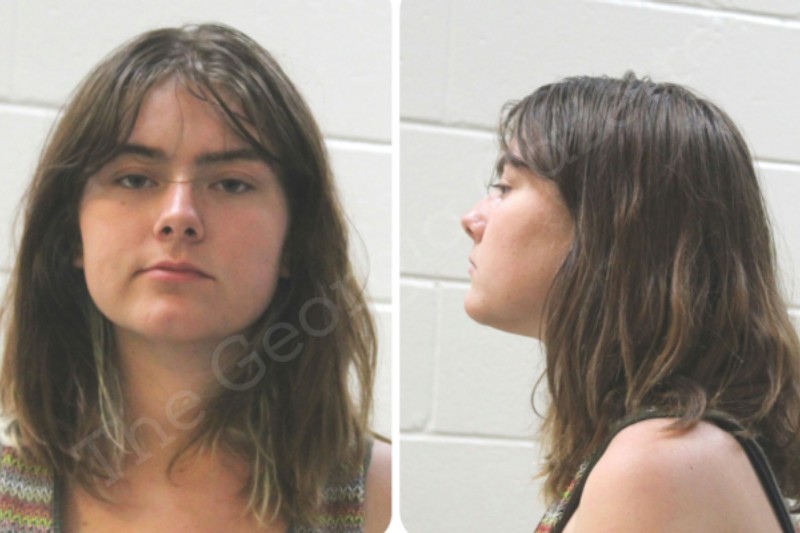 Alexis Faye Houston County Jail Bookings 