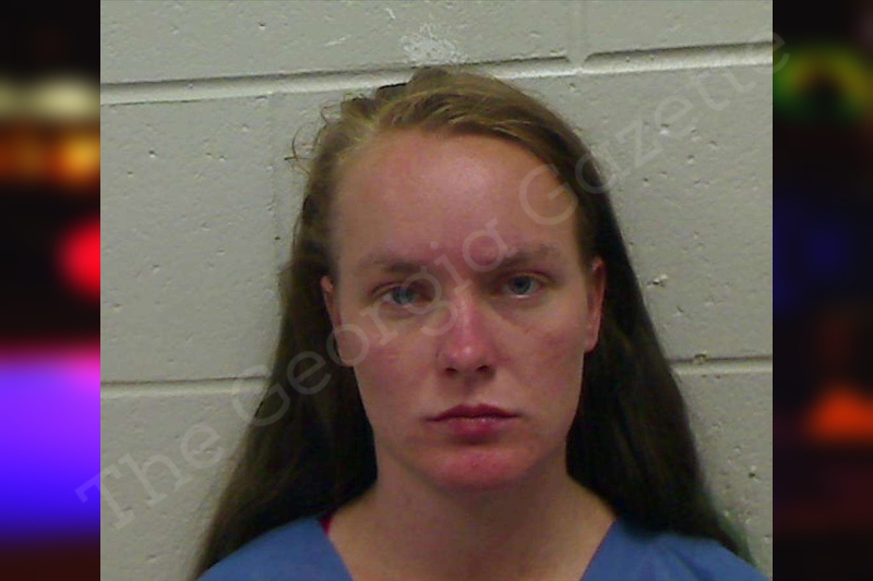 Shelby Gibson Bulloch County