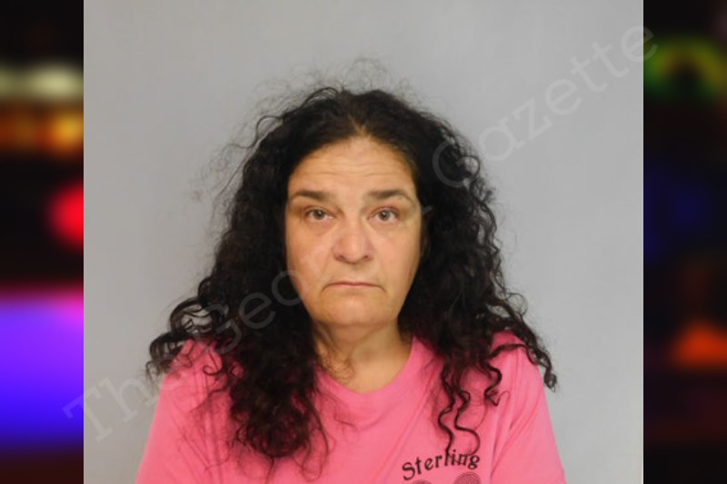 Brandy Scott Hall County