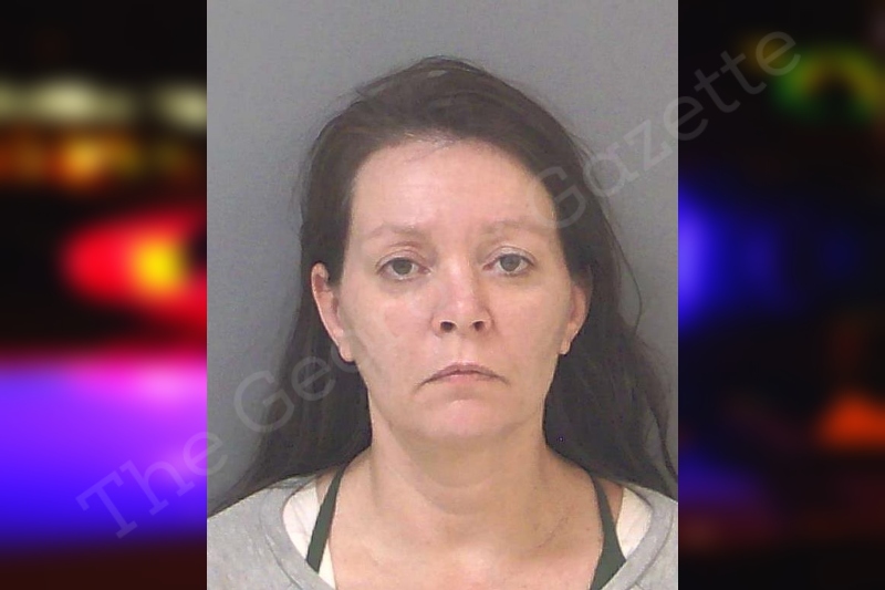 Brandy Worley Douglas County Jail Bookings